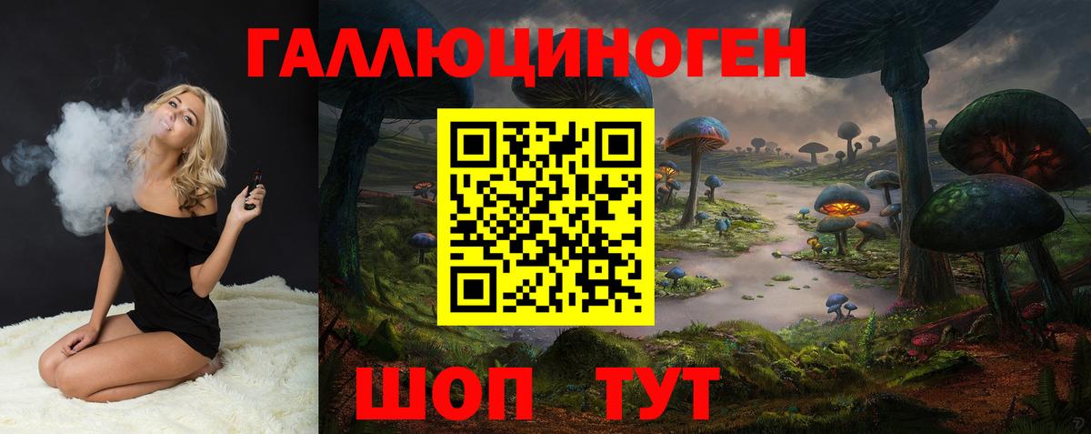 Новокубанск  Псилоцибиновые грибы GOLDEN TEACHER  Вход с VPN  Псилоцибиновые грибы GOLDEN TEACHER 